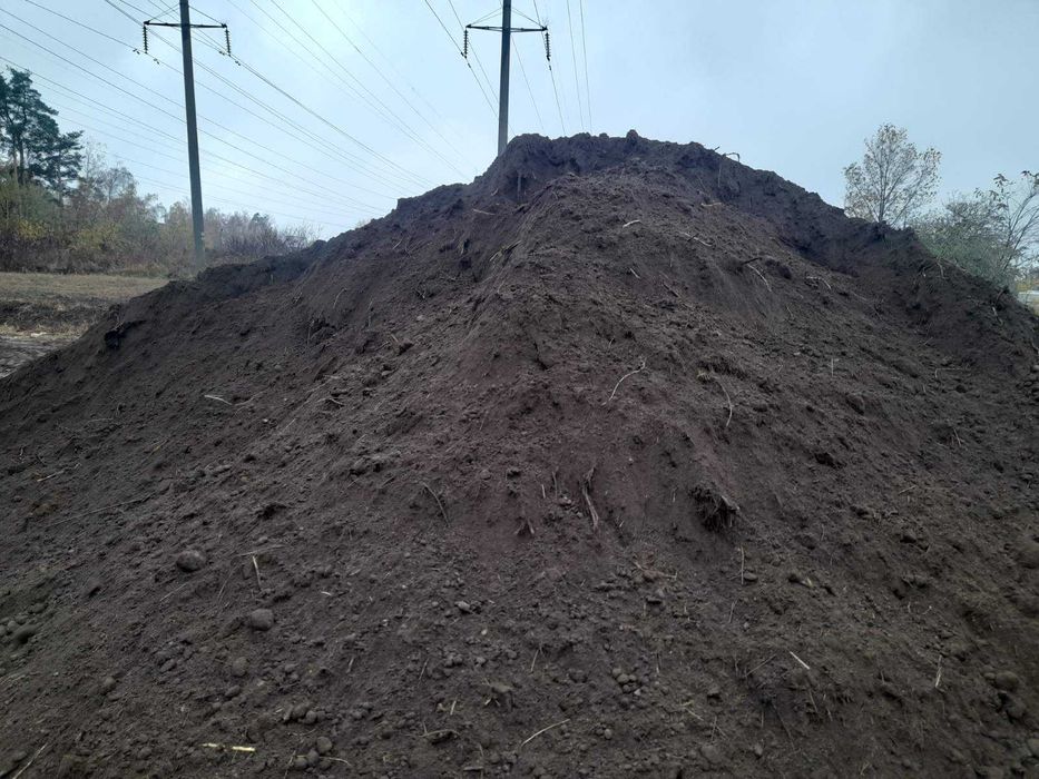 Чорнозем Іванків Іванківський район