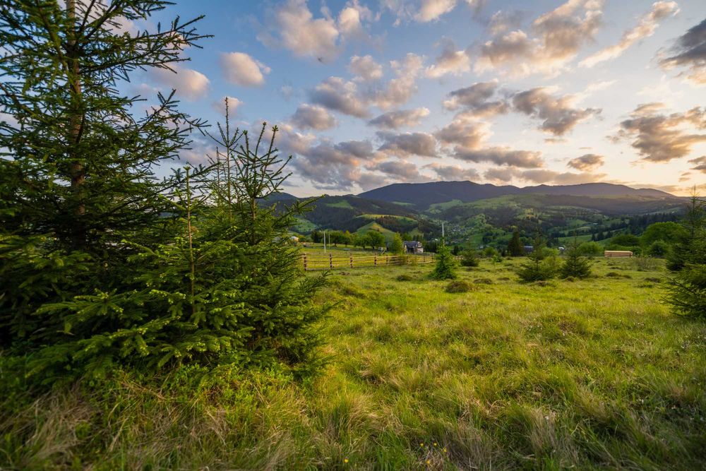 Земельна ділянка у с. Стаїще (Верховинська ОТГ) площею 89 сотих