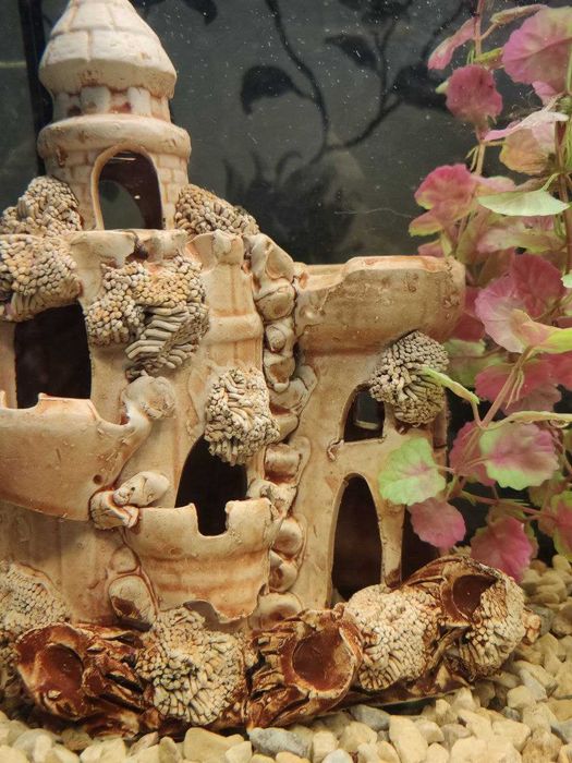 Аквариум 60л,Италия. Крышка, свет, фильтр, обогрев, рыбы Всё в Подарок