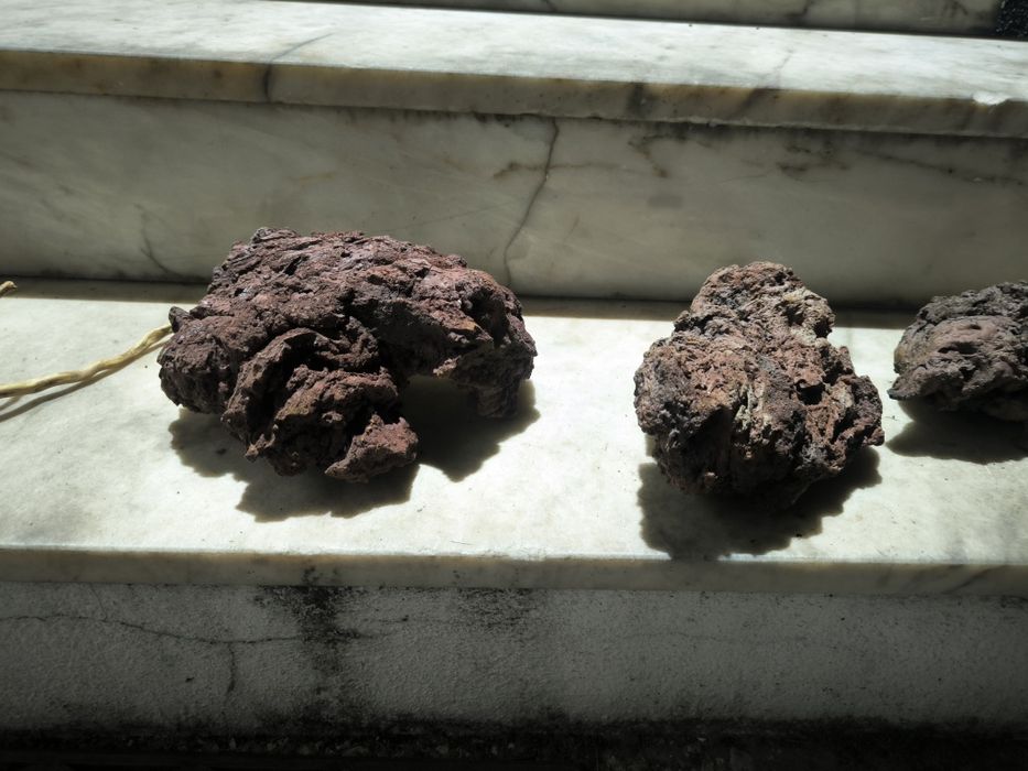 Troncos e rocha vulcânica para aquário e terrário