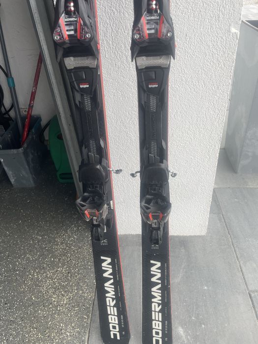 Nordica  dobermann multigara  DC