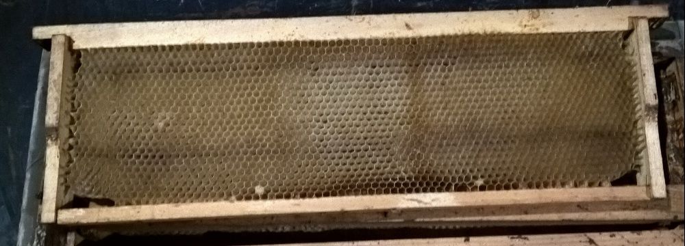 Сушь пчелиная (рамки сотовые) 145мм - 10шт.