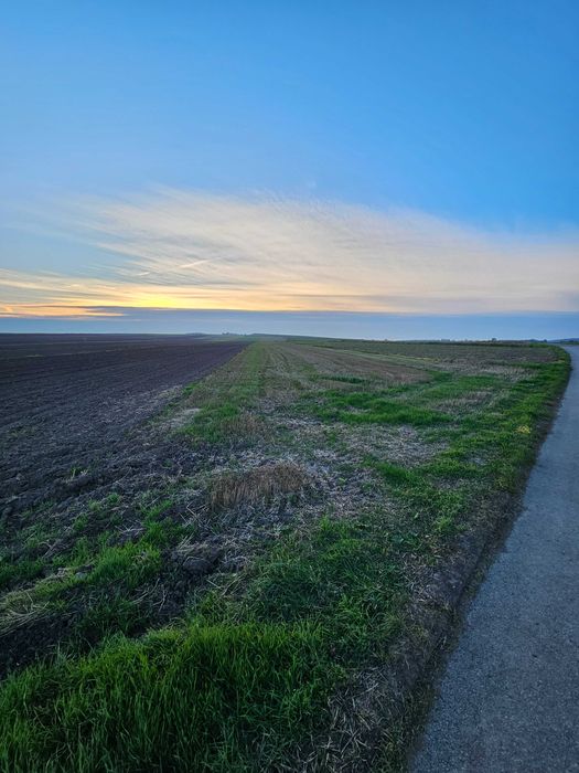 Działka rolna 2,6104 ha  Obrażejowice