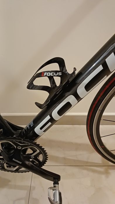 Focus cayo como nova