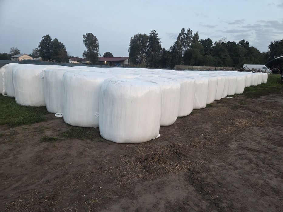 Sianokiszonka z lucerny 130cm