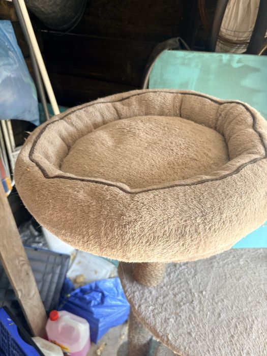 Arranhador/arvore grande para gatos