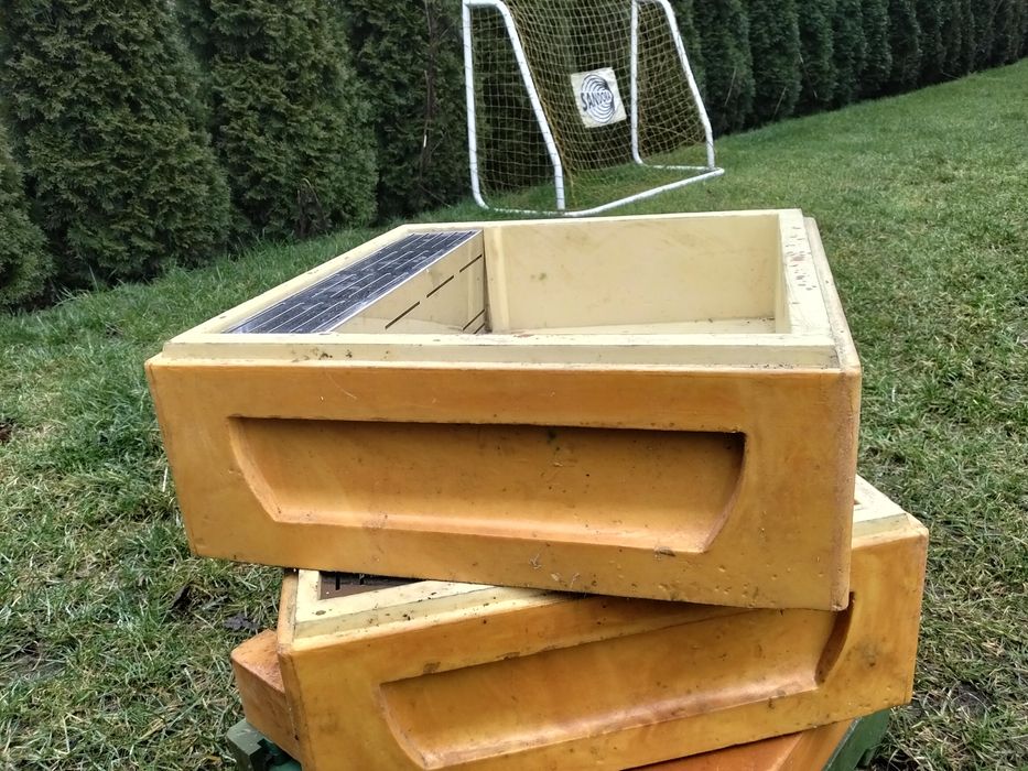 Powałko-podkarmiaczka wielkopolska apikoz