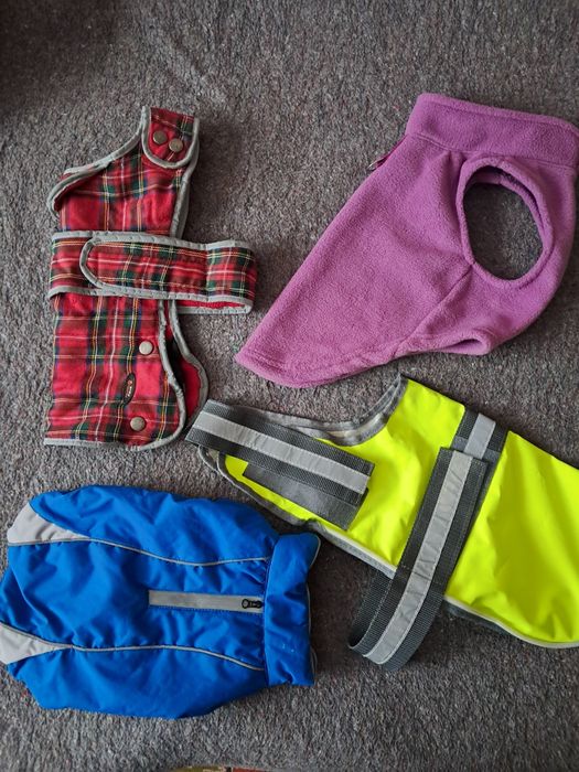 Одежда для собак разных размеров