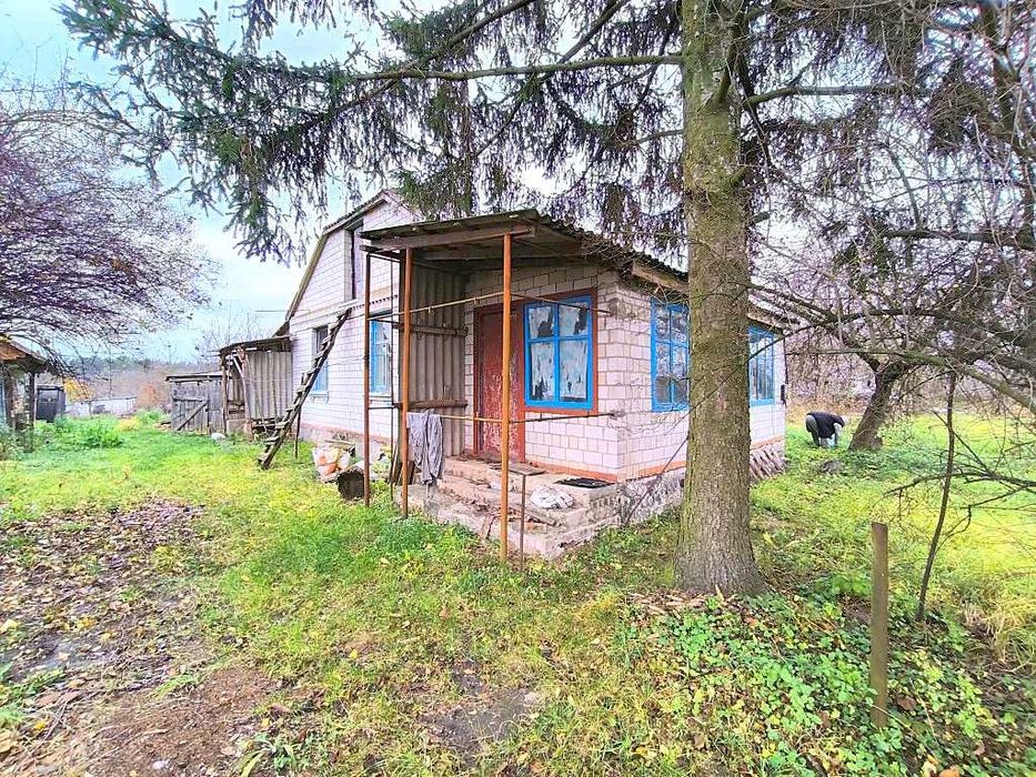 Жилий будинок та 29сот.В с.Бишів.Розвинена інфраструктура.Київ 40км.