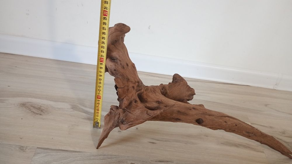 Japoński korzeń akwariowy