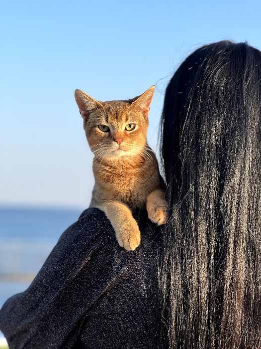 Шикарный ,нежный и ласковый мальчик