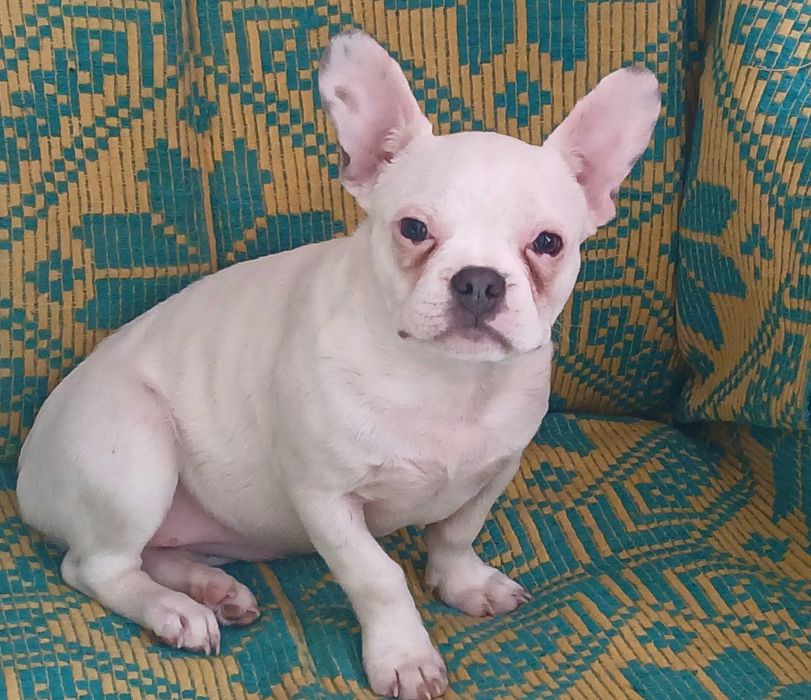 Маленький антидеприсант