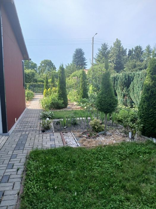 Działka ROD Stęszew ul.Kwiatowa - Widok 4
