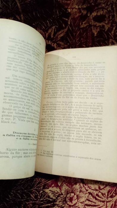Viticultura Pratica Portugueza 1907 M. Rodrigues de Moraes