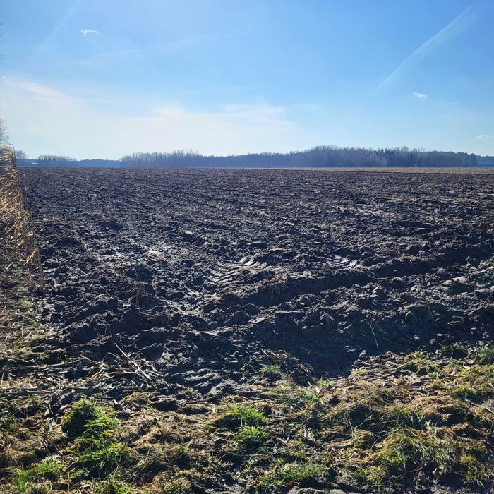 Ziemia Rolna Kosów lacki Hulidów 2,90 h