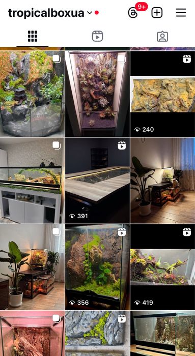 Тераріум на замовлення ( для еублефара, паука,бананоїда,агами,тощо)