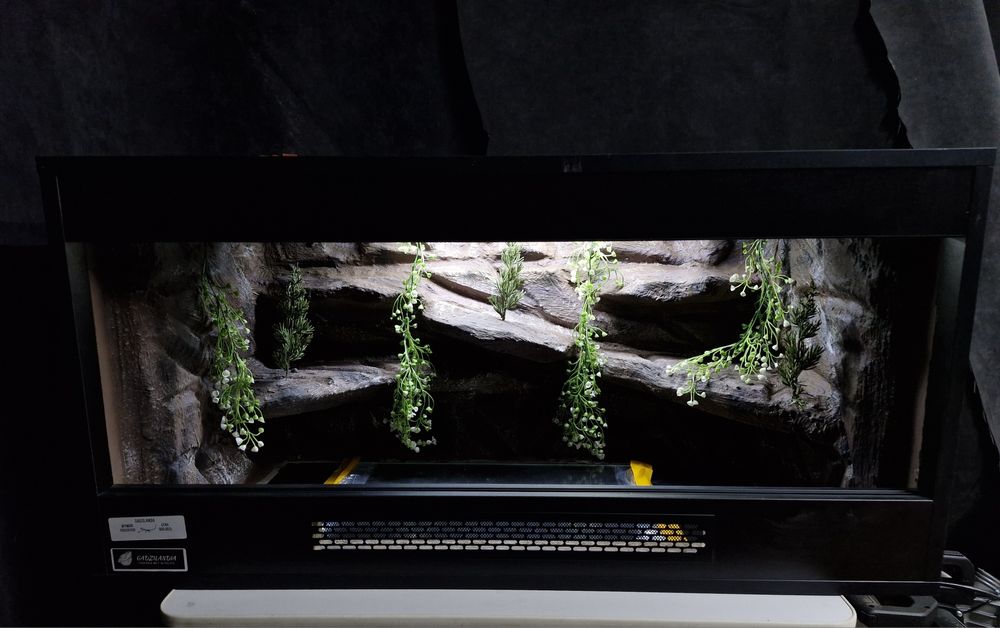 Terrarium Płyta Meblowa Producent GadziLandia Agama Gekon Waz