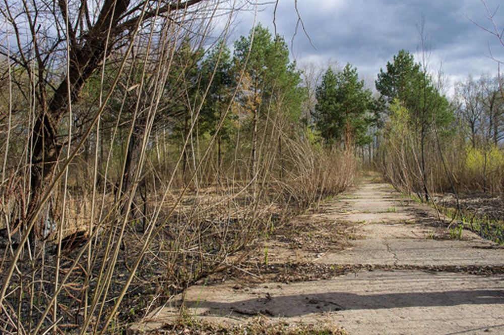 Продається півострів 1.5 га під бази ,готелі,яхтклуби,вихід на Дніпро