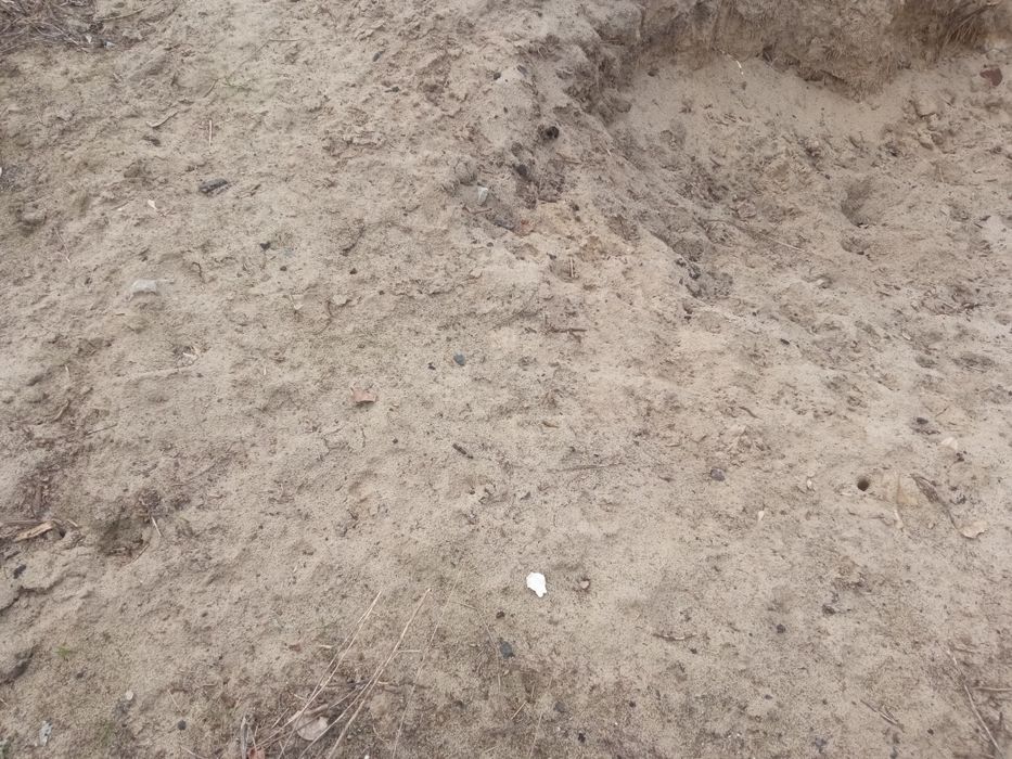 Отдам!!! Подарю. Бесплатно!!!