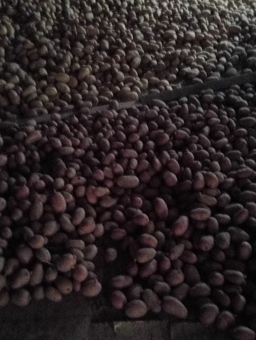 Vende se batatas