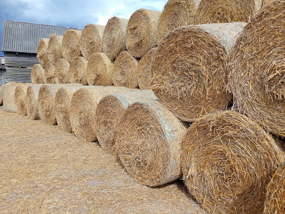 Słoma baloty,ściółka,podłoże,biomasa,opał