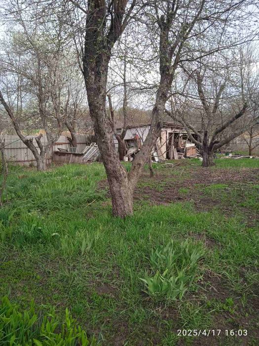 Продам дачу в  Гарьевке.пгт. Златопиль