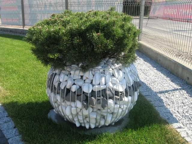 Otoczak Grecki Thassos