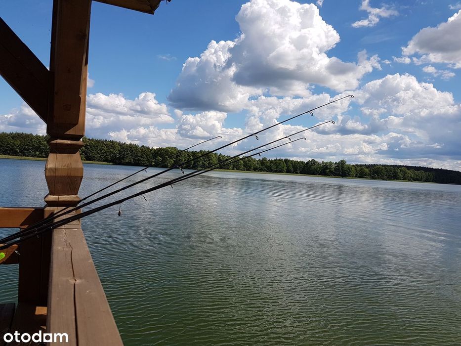 Działka na Mazurach nad jeziorem Kalwa