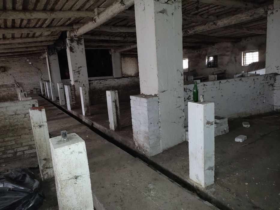 Ферма. Приміщення свинарника, під різні цілі. м. Калуш, Залісся  7а.