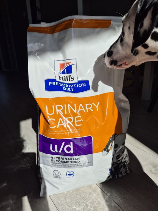 Karma Hill's urinary u/d.
