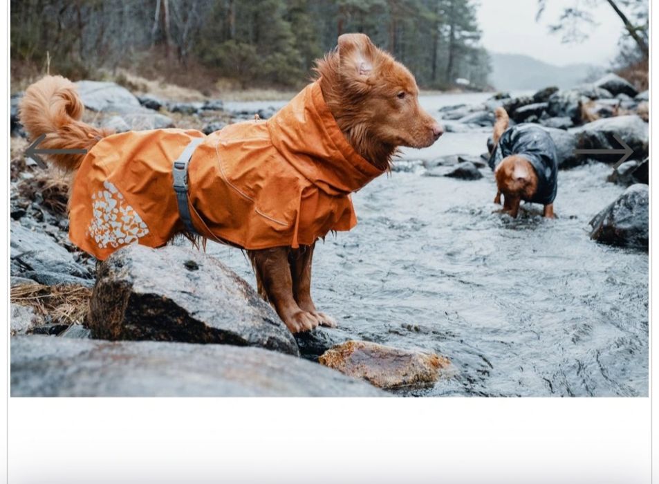 Дощовик куртка  для собаки HURTTA Houndex