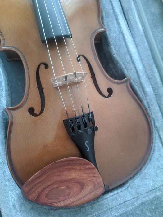 Viola de arco com extras