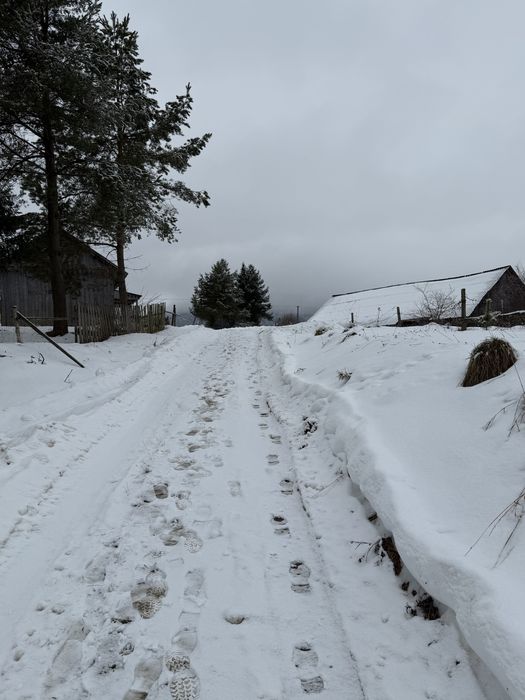 Ділянка в Карпатах  (Західний реабілітаційно - спортивний центр НКСІУ)