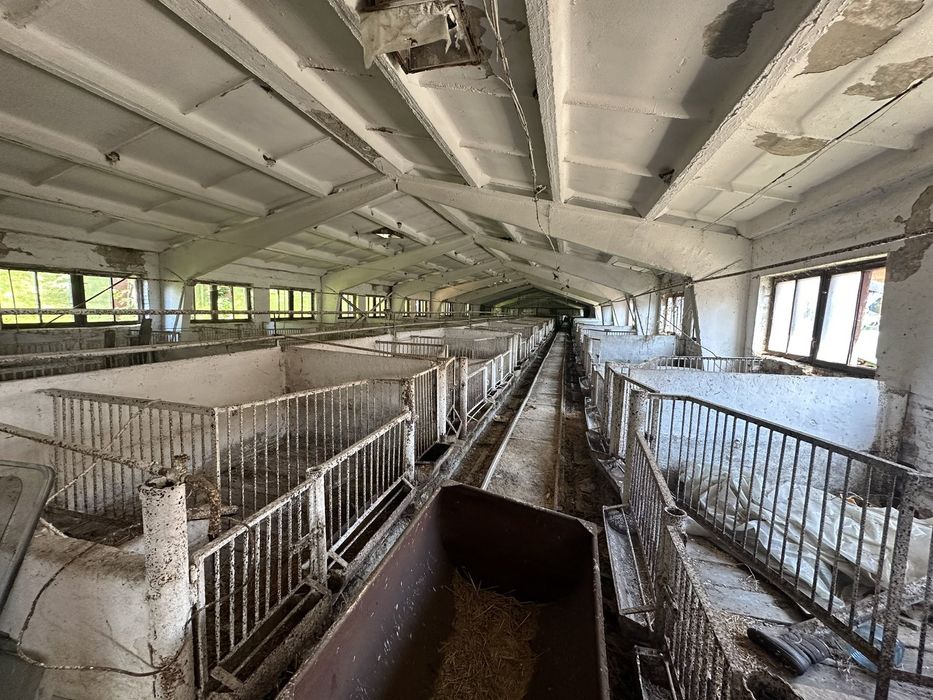 Оренда приміщення, Свиноферма, Богуслав, 3480 м²