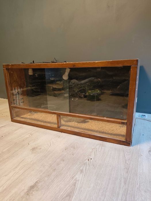 Terrarium z ścianką