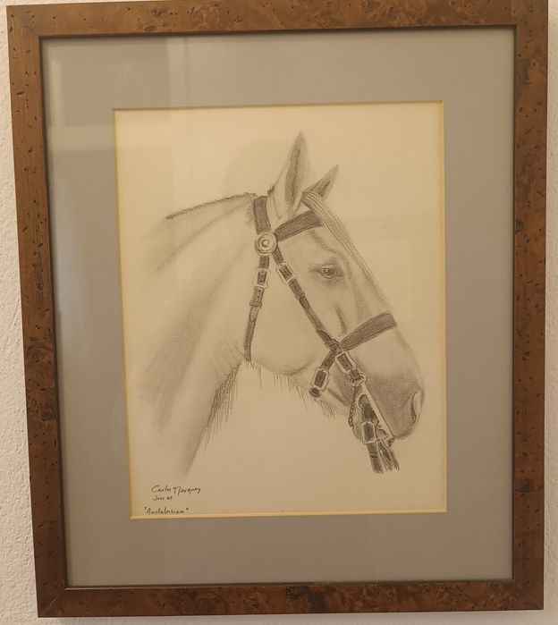 Quadro cavalo lusitano pintura