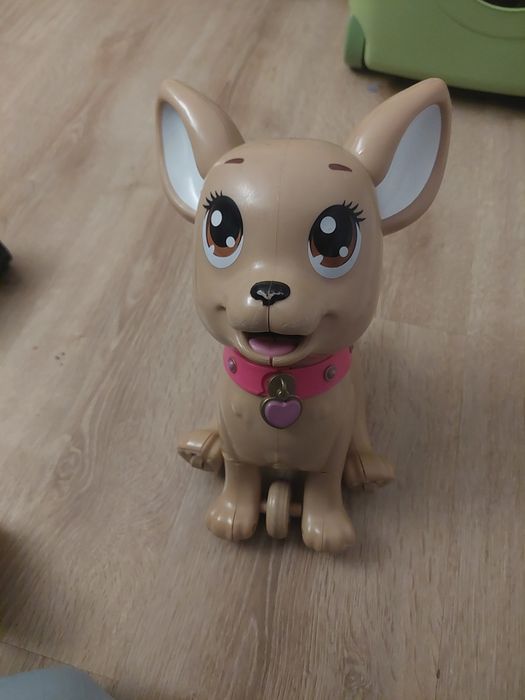 Piesek stojący oraz siedzący