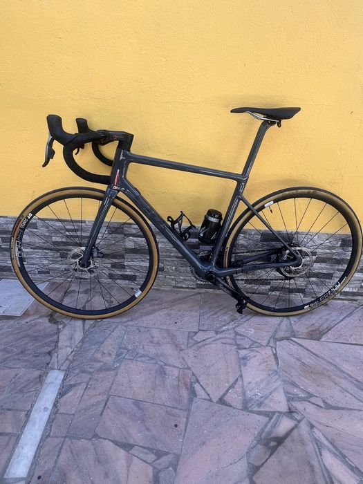 Ciocc rydon dcr