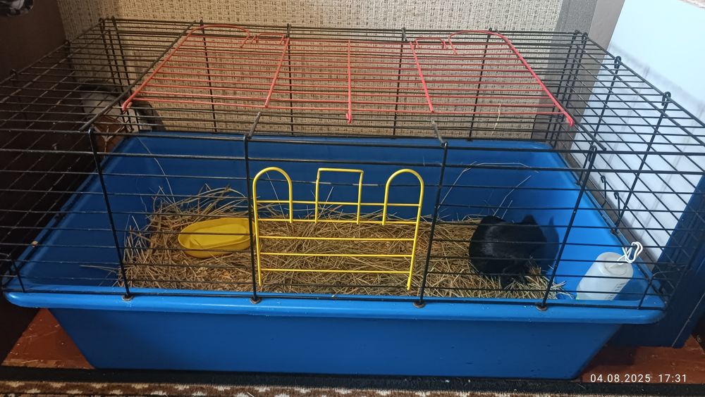 Клетка для кроликов ( грызунов)