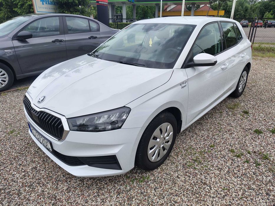 Wynajem dostawczego busa,bez limitu,od 150 zł brutto za dobę,Gepard