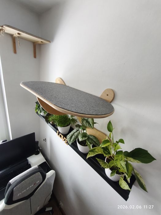 Duża półka dla kota - kotostrada - ścianka wybieg dla kota