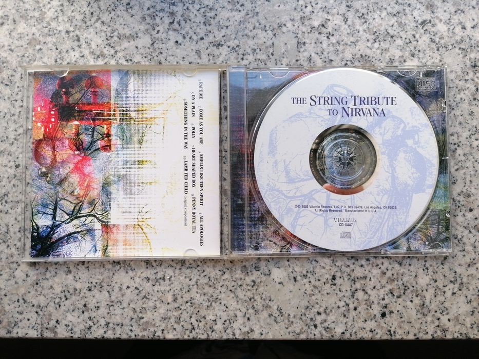 The String Tribute to Nirvana