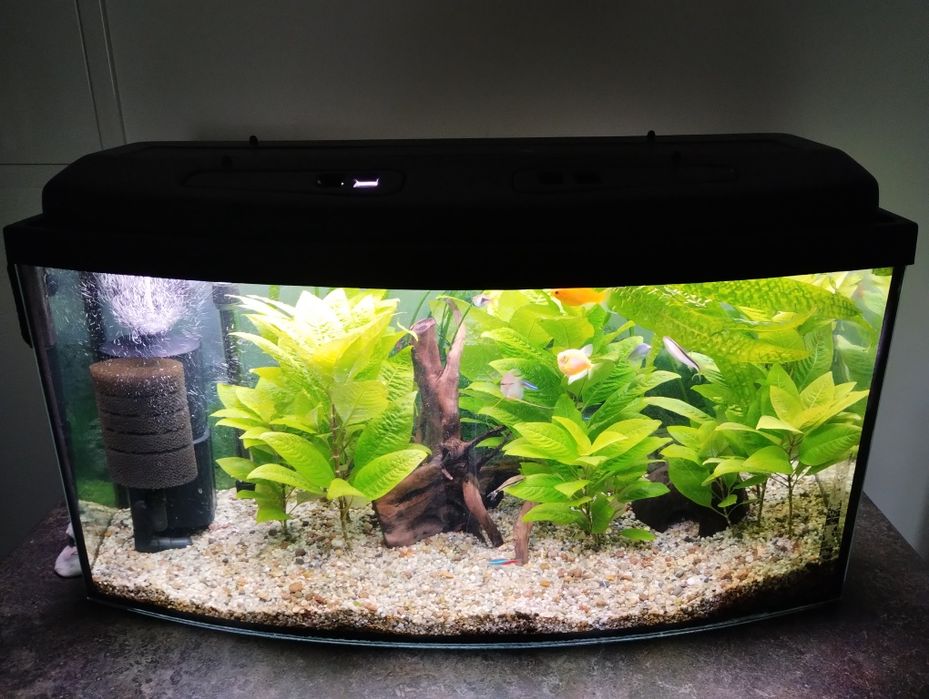 Akwarium profilowane 112l