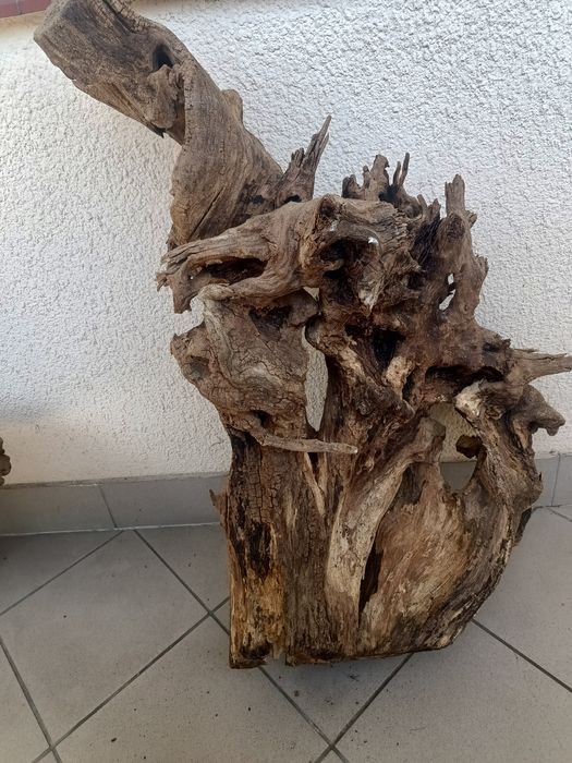 Duży korzeń do akwarium lub terrarium