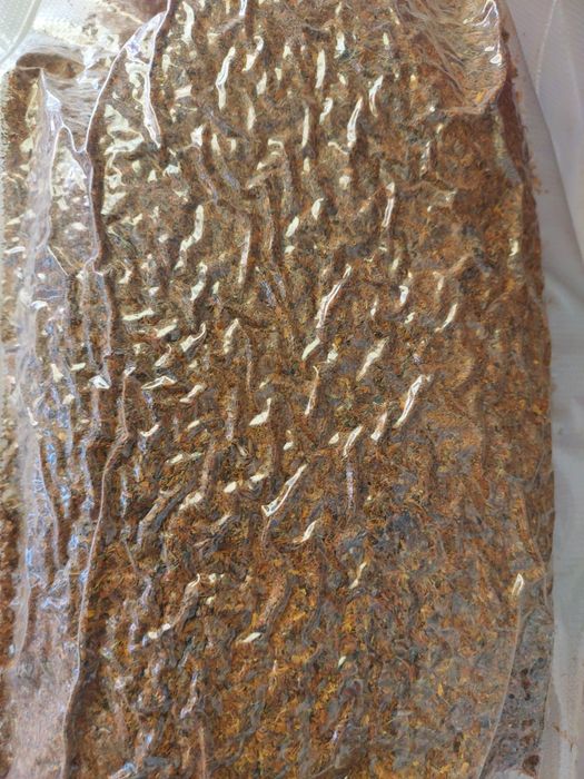 Nagietek lekarski kwiat mielony 250 g