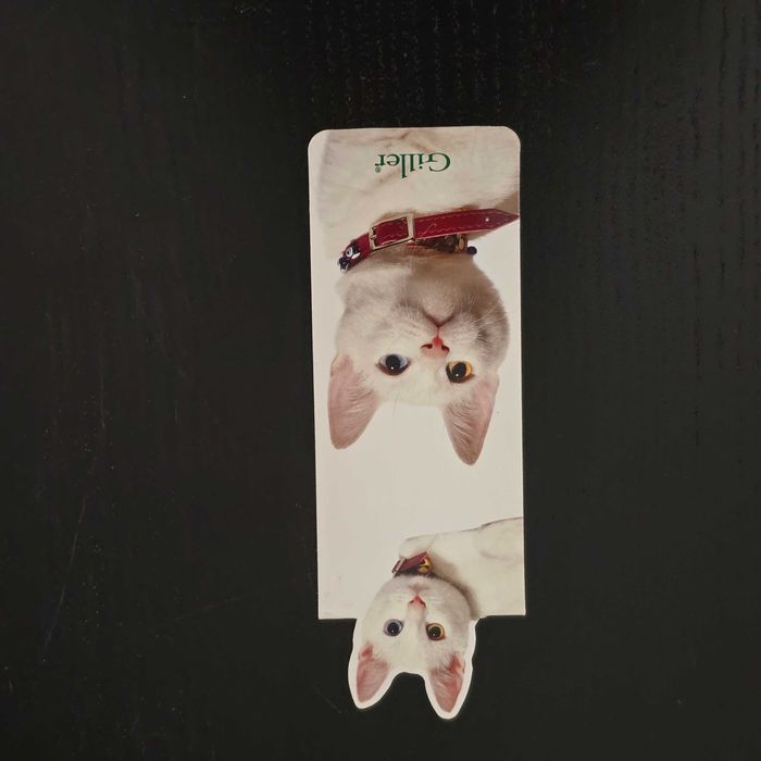 Zakładka do książki magnetyczna Kot Giller