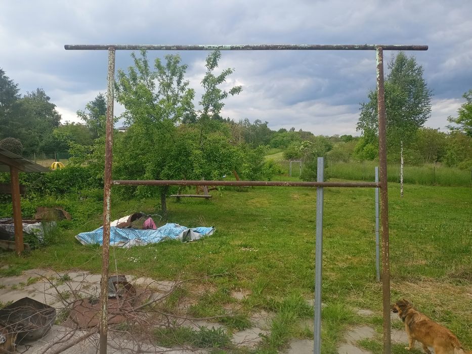 Trzepak do dywanów