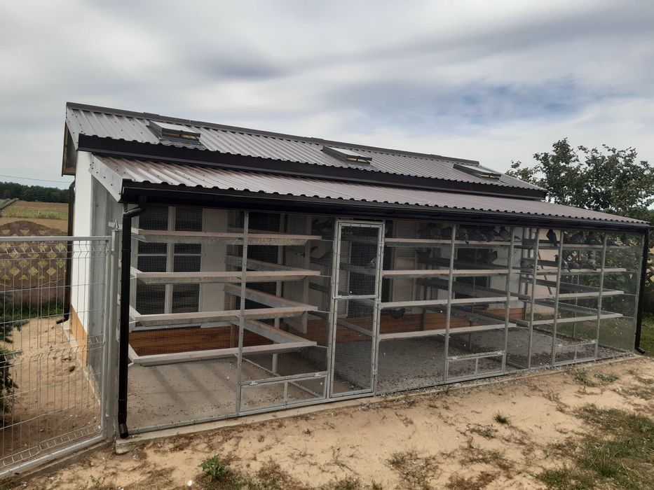 Woliera dla gołębi  6x2x2