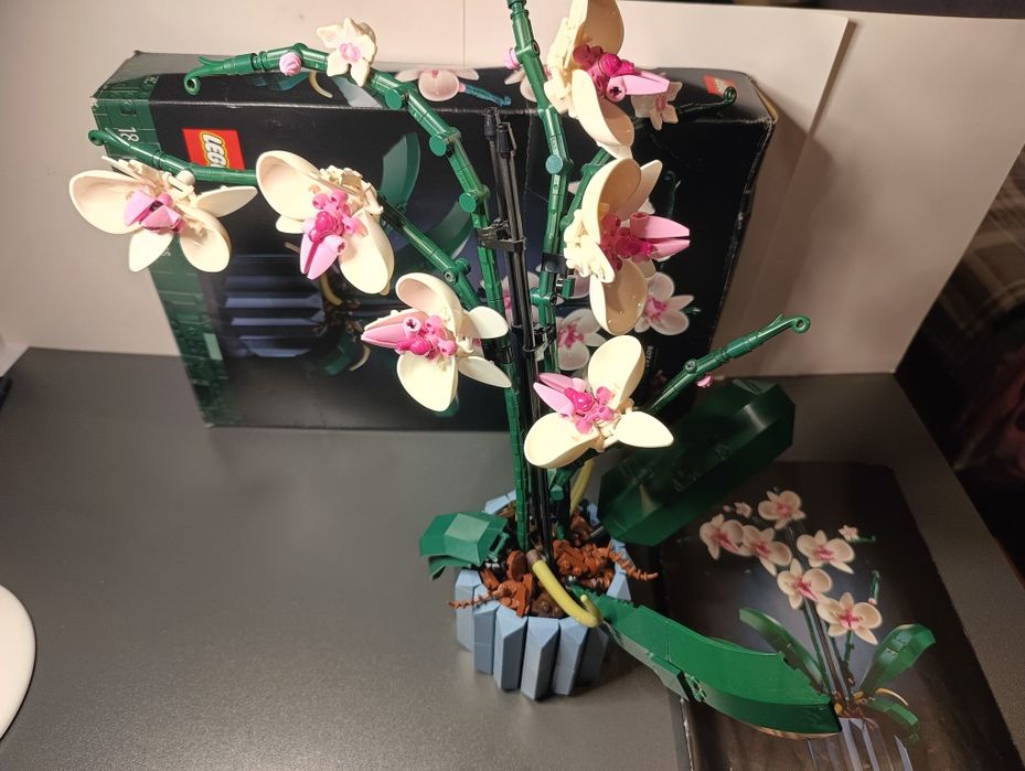 LEGO kwiaty róży, orchidea 10328, 10311