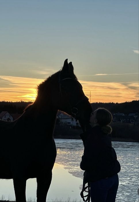 Loxy R  Cudowna Klacz